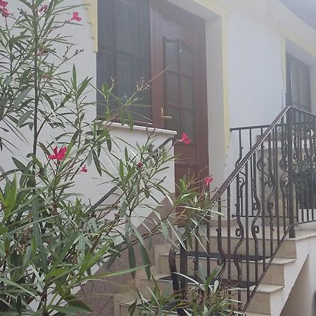 Laubgassl Διαμέρισμα Mörbisch am See Εξωτερικό φωτογραφία