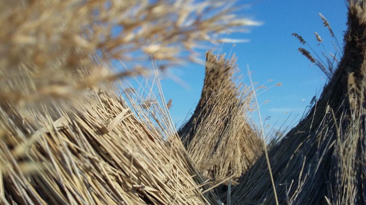 Laubgassl Διαμέρισμα Mörbisch am See Εξωτερικό φωτογραφία